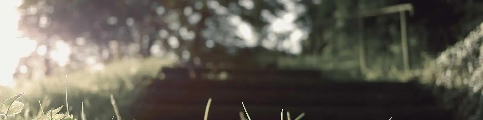 2026开年风暴！303家村镇银行集体退场，创历史峰值；国有大行首次接盘县域金融，中小银行进入精兵简政深水期