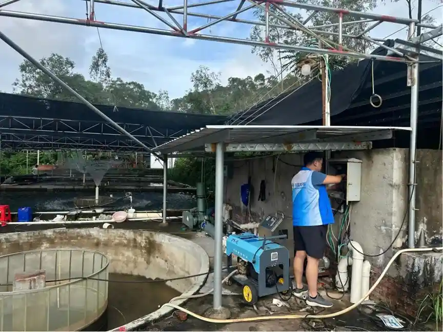 迎战桦加沙：太平财险多省联动打造全域防御新防线